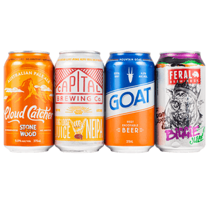 Discount Mixed Beer 4 Pack